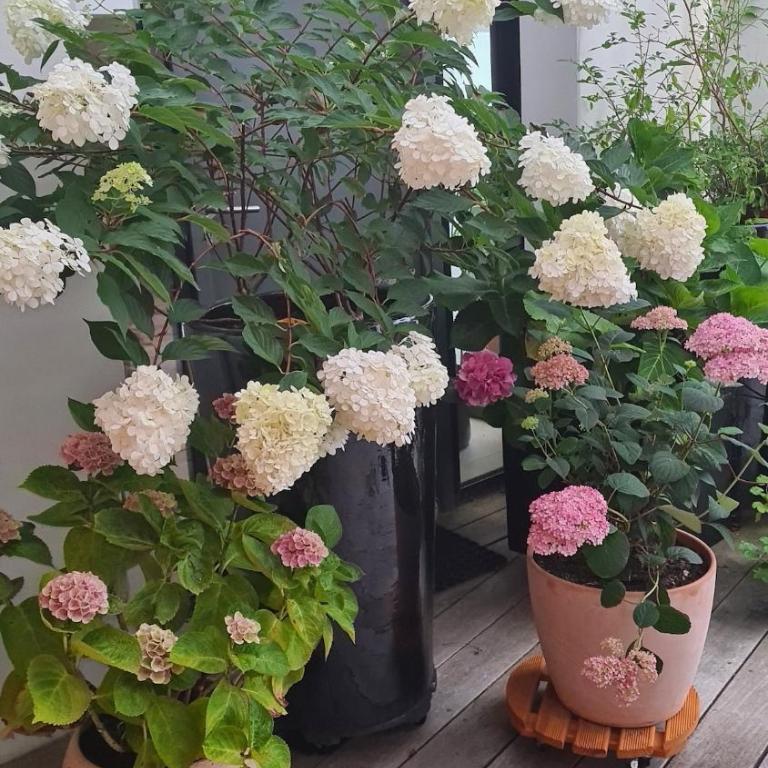 85 l idéal , quiet charm in Tours - Appartement 2 Chambres - 25