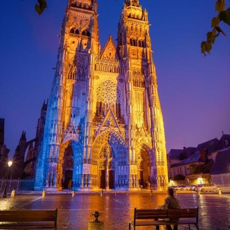 85 l idéal , quiet charm in Tours - Appartement 2 Chambres - 29