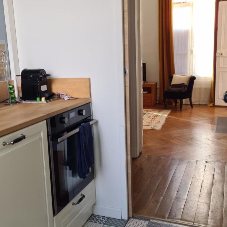 85 l idéal , quiet charm in Tours - Appartement 2 Chambres - 43