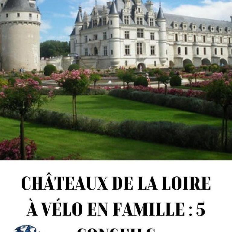 85 l idéal , quiet charm in Tours - Appartement 2 Chambres - 56