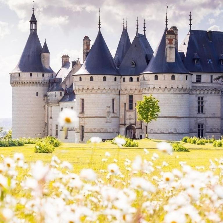 85 l idéal , quiet charm in Tours - Appartement 2 Chambres - 81