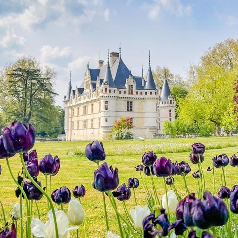 85 l idéal , quiet charm in Tours - Appartement 2 Chambres - 91