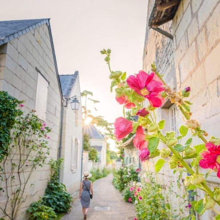 85 l idéal , quiet charm in Tours - Appartement 2 Chambres - 93