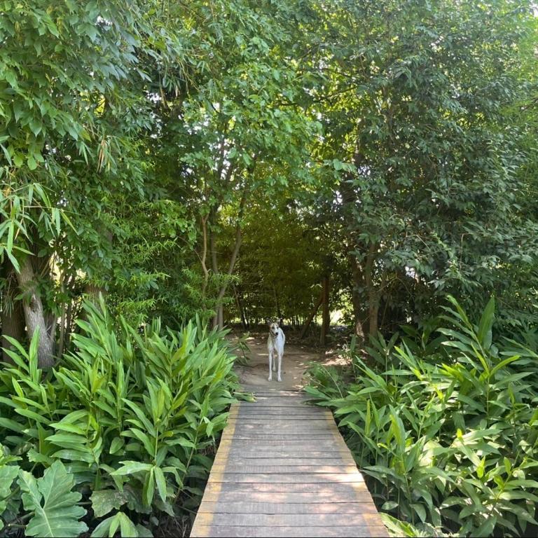 Isla Chita - Casa de 3 dormitorios - 29