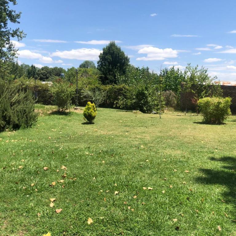 Lujan de cuyo 2 - Apartamento de 1 dormitorio - 3