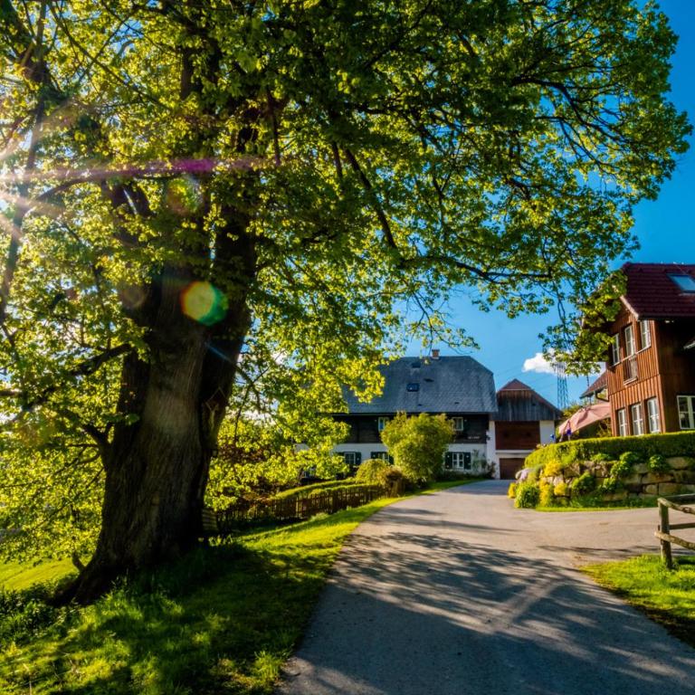 Haunzwickl Ferienhaus - Haus mit 2 Schlafzimmern - 10