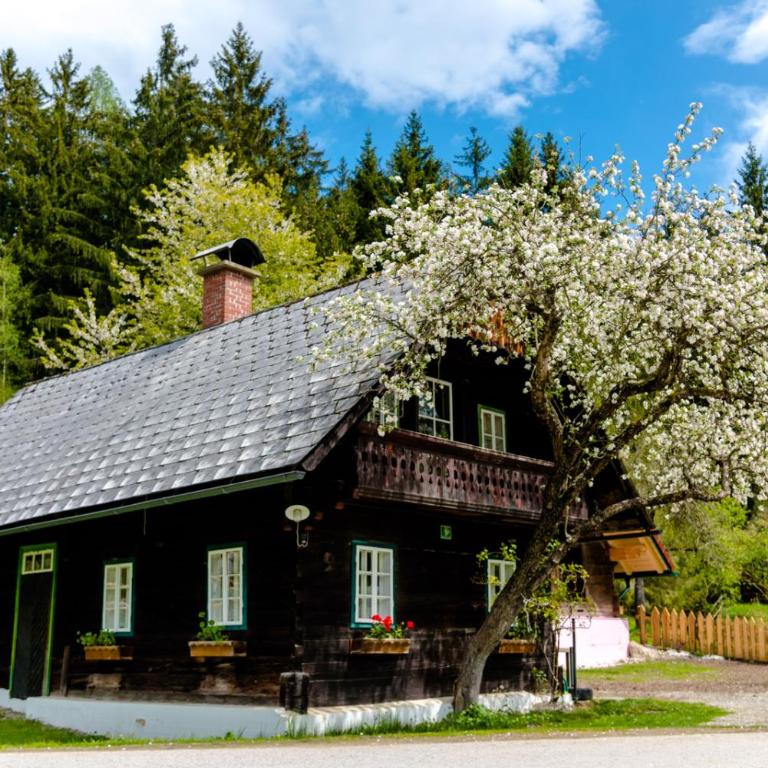 Haunzwickl Ferienhaus - Haus mit 2 Schlafzimmern - 12