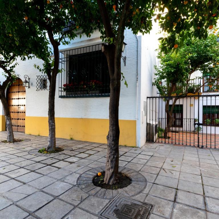 Veoapartment Plaza Santa Cruz - Apartamento de 1 dormitorio - 30