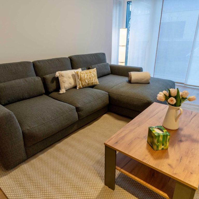 Interlaken Mountain View - Apartment - 6