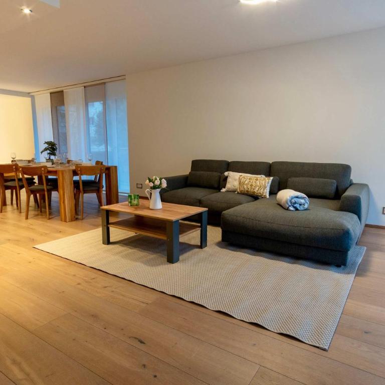 Interlaken Mountain View - Apartment - 12