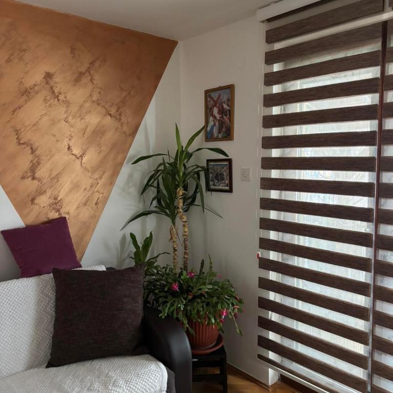 Apartmani Rada - Studio - 7