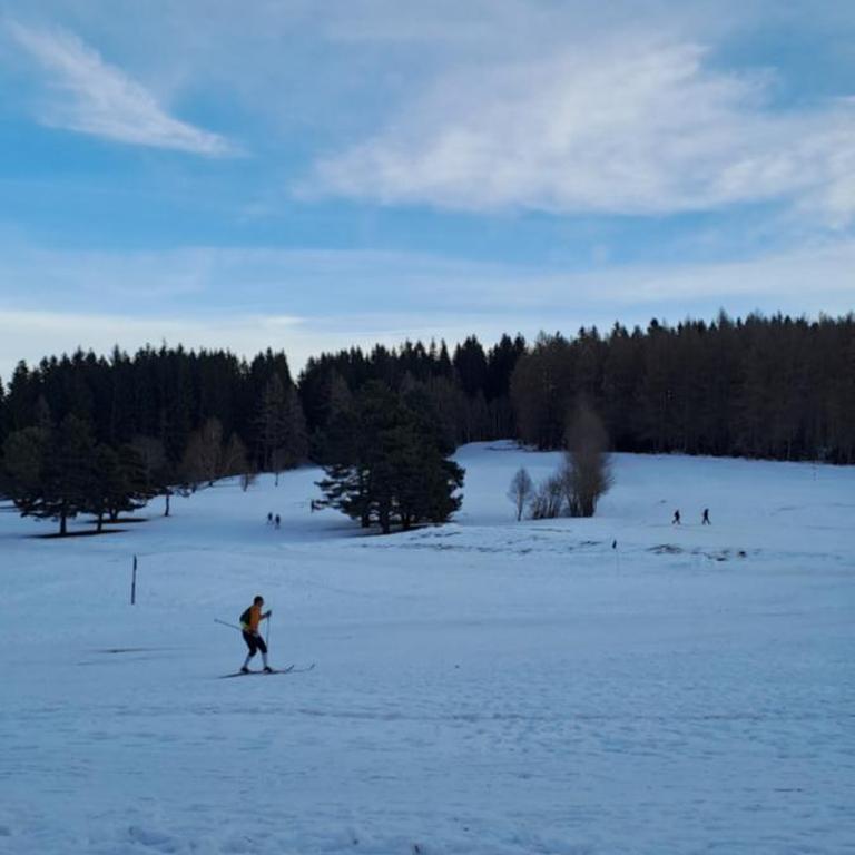 L'échapée du Col Bayard-Séjour nature à 5min du Golf - Maison 2 Chambres - 36