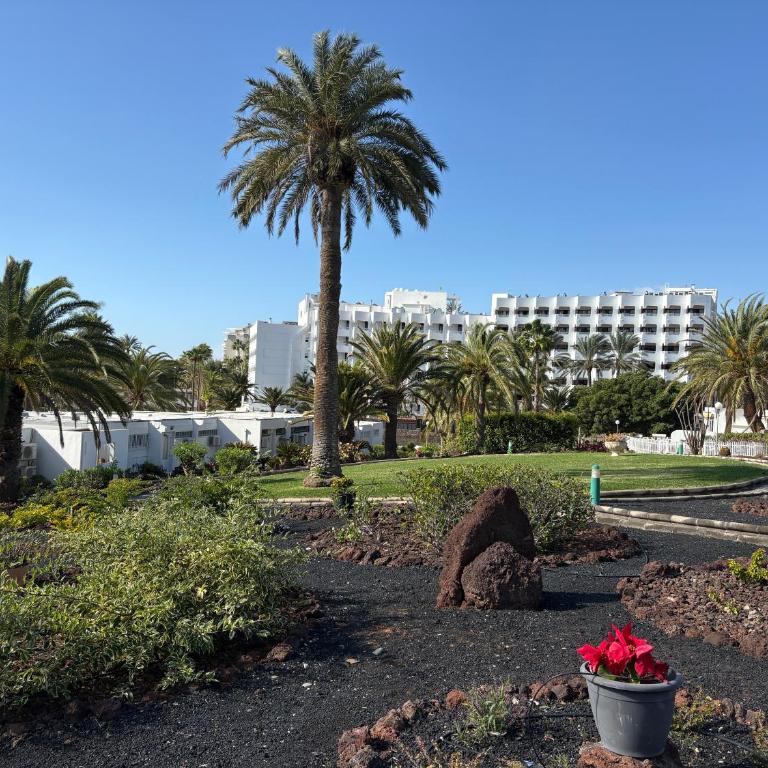 Holiday apartment with direct sea promenade access - Apartamento de 2 dormitorios - 29