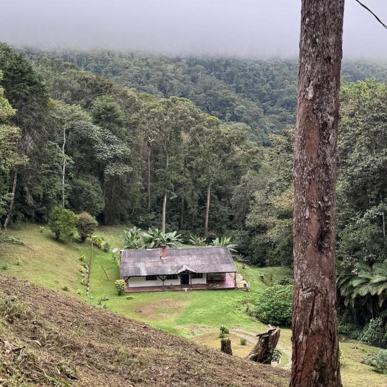 Finca Neblina del Bosque - Cerca a Dapa - Casa - 5