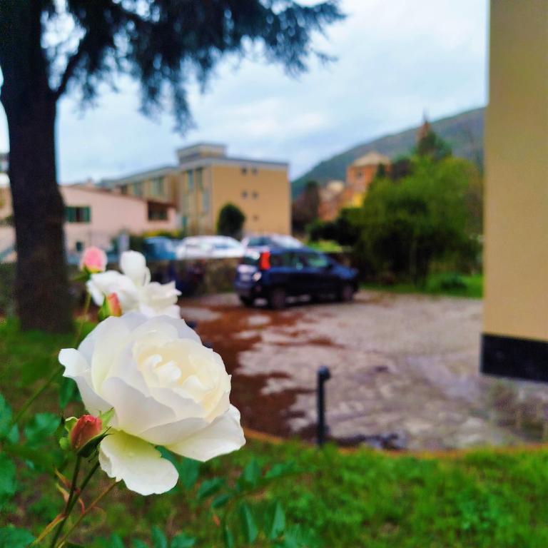 VILLA All'ombra del Cedro - Appartamento con 3 Camere da Letto - 4