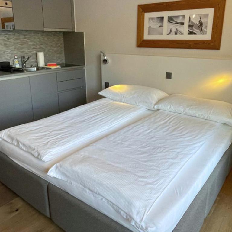 SWISSPEAK Resorts by Pierre & Vacances Premium Vercorin - Studio - 4
