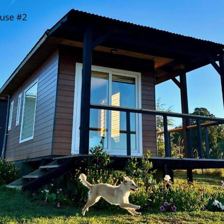 Tinyhouses Mirador del Lago - One-Bedroom House - 1