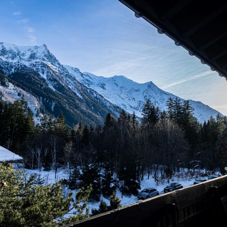 Balcons de Champraz- Spectacular Mont Blanc and Lake Views - Apartamento - 21
