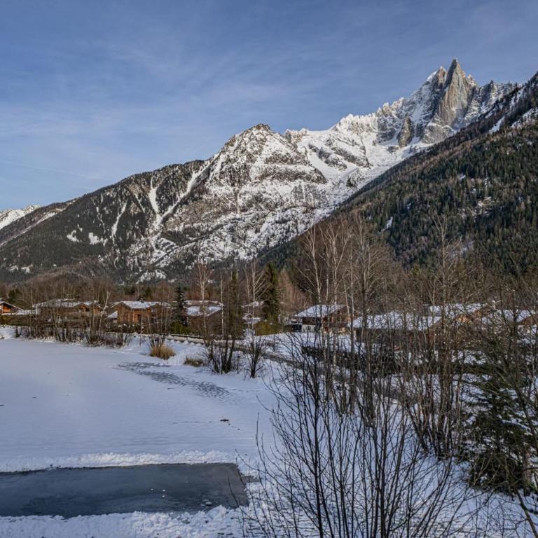 Balcons de Champraz- Spectacular Mont Blanc and Lake Views - Apartamento - 23