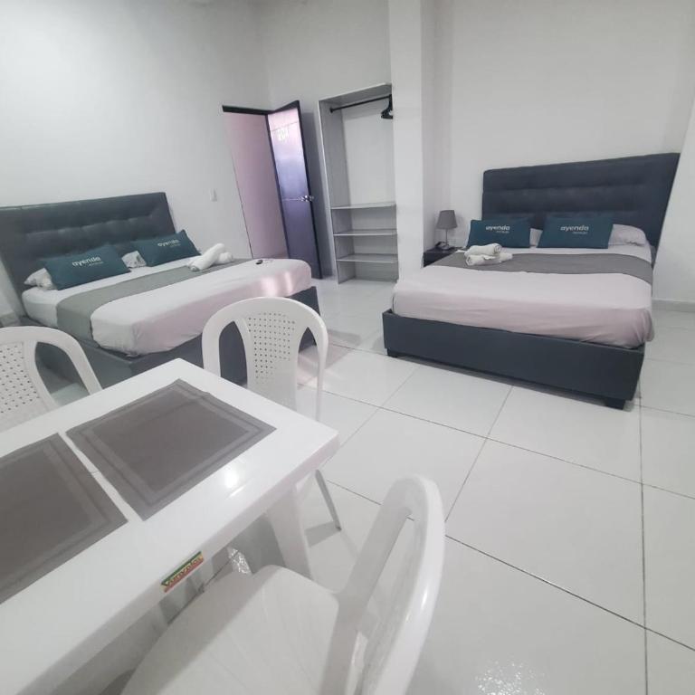 Suite hm caribe - Family Studio - 3