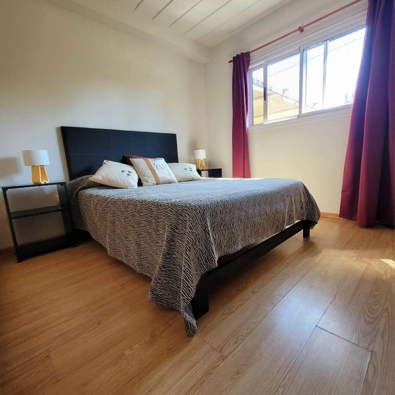 Palmeras del sur - Apartamento de 1 dormitorio - 4