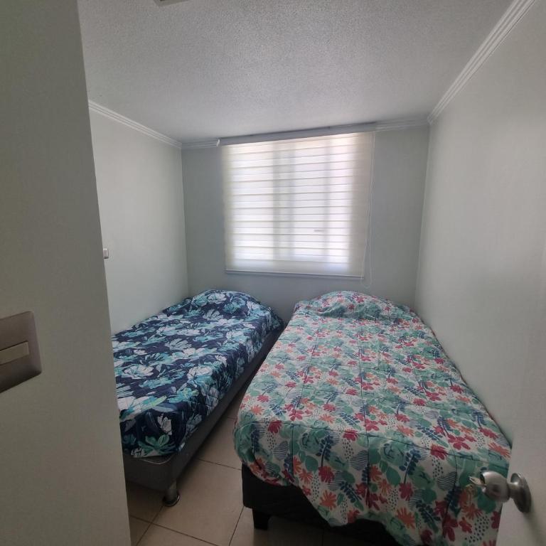 El paraíso del oasis - Two-Bedroom Apartment - 5