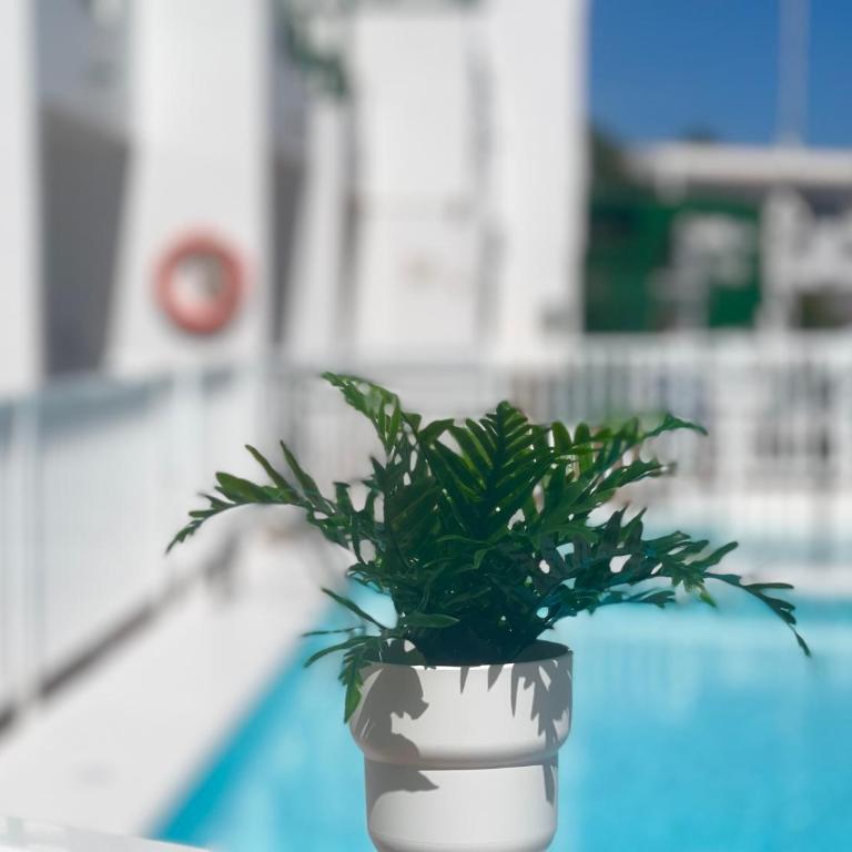 -MONTORIAN View LANZAROTE- - Apartamento de 1 dormitorio - 54