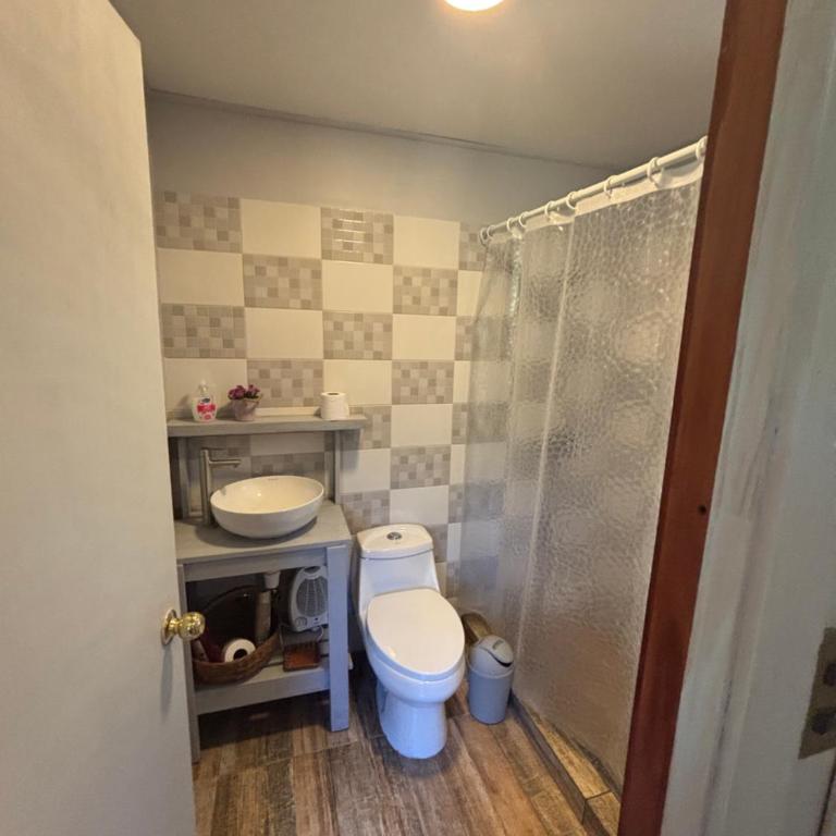 Hermosa Parcela con Casa en Villarica - Casa con 1 dormitorio - 25