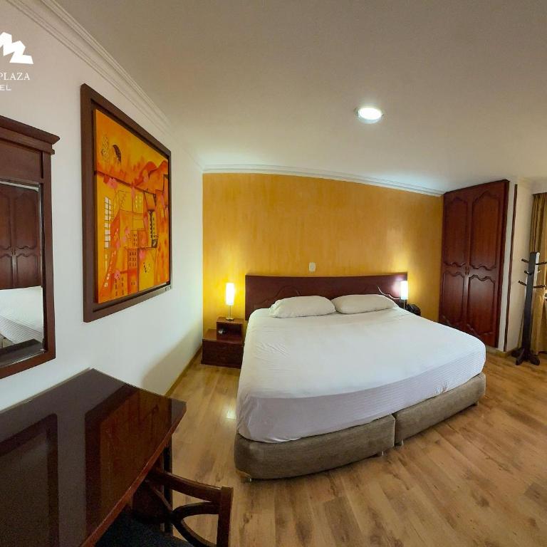 Hotel Luxor Pereira - Single Room - 4