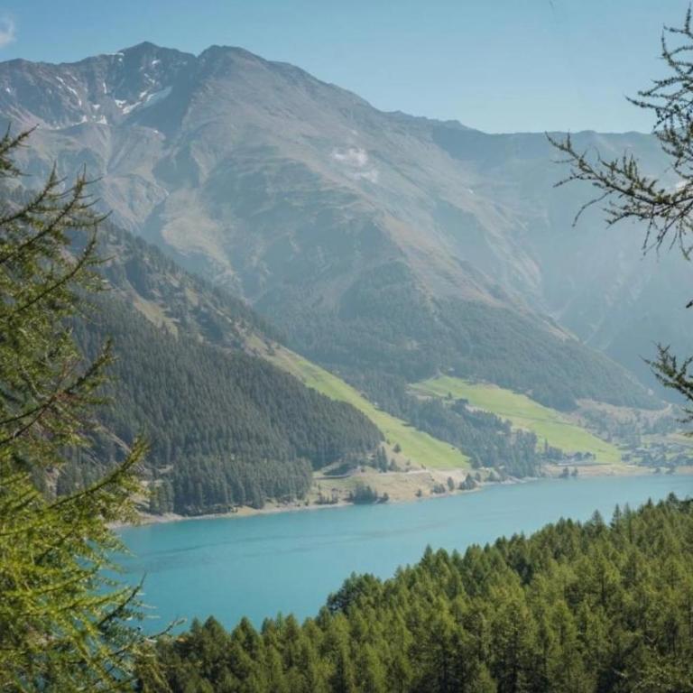Retreat in Senales 2000mt Spa and gym - Appartamento con 1 Camera da Letto - 4