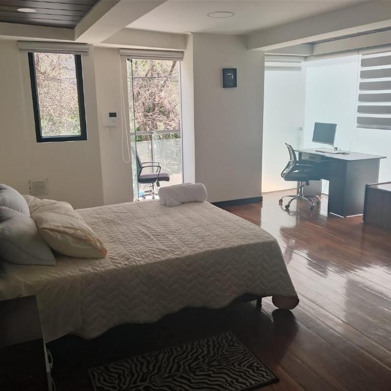 Confort y Estilo- Avaroa Square - One-Bedroom Apartment - 6