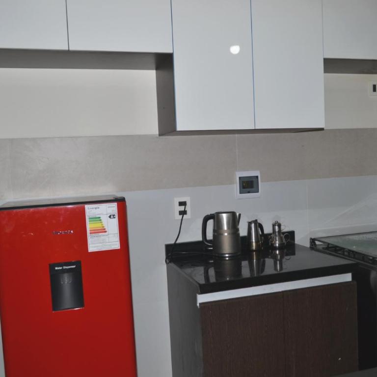 Confort y Estilo- Avaroa Square - One-Bedroom Apartment - 13