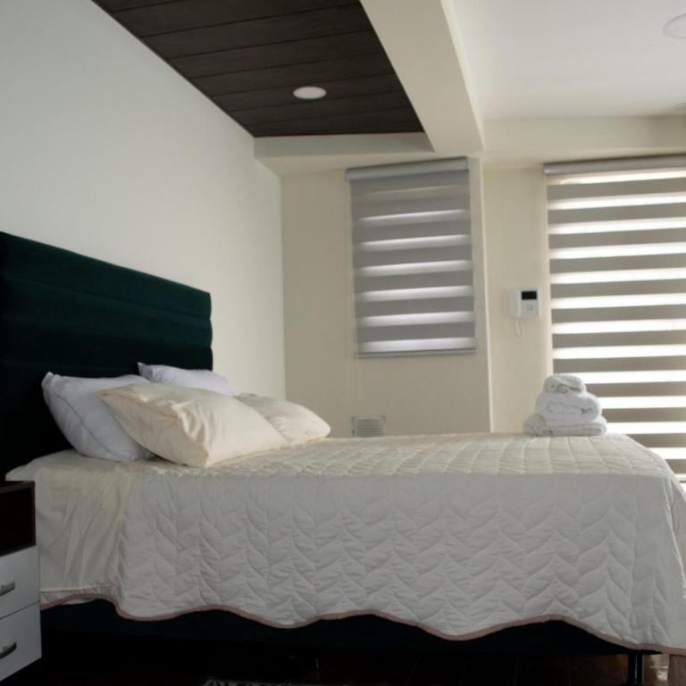 Confort y Estilo- Avaroa Square - One-Bedroom Apartment - 17