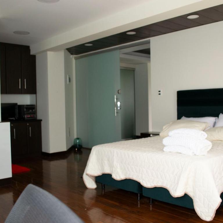 Confort y Estilo- Avaroa Square - One-Bedroom Apartment - 19