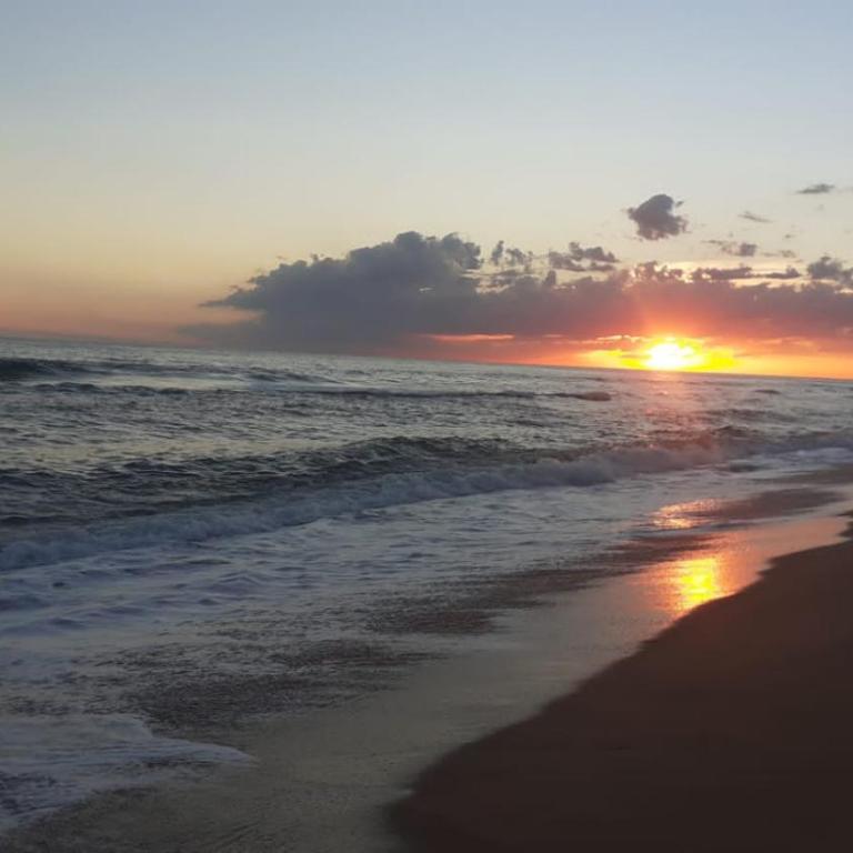 Punto de Sol - One-Bedroom House - 7