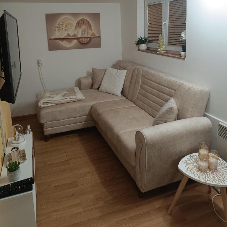 Studio Vida - One-Bedroom Apartment - 12
