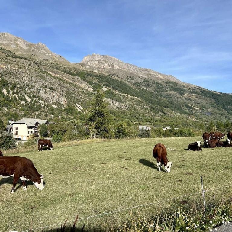 Appartement Montagne : 2 Pces, 4 Couchages, Jardin, Animaux OK, Navette et Commerce Proches - Maison 1 Chambre - 12