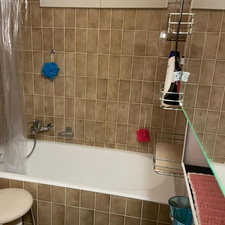 Nid des Alpes, Vue Montagne & Balcon Sud - Apartment mit 1 Schlafzimmer - 15