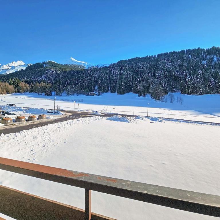 Duplex cosy 55m² pour 6 pers. à La Clusaz, animaux admis, wifi inclus - FR-1-818-32 - Apartamento - 13