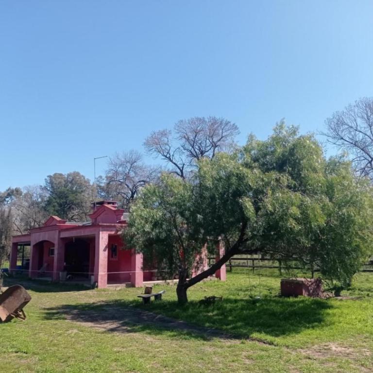 La Chacra - Apartamento de 1 dormitorio - 4