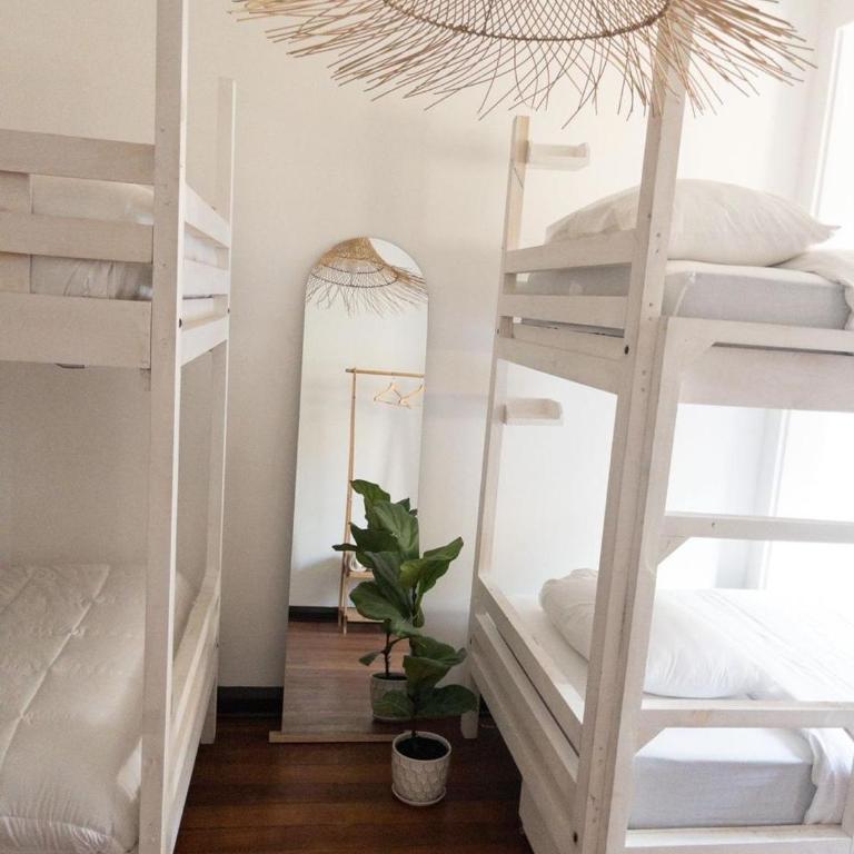 La Posada Coliving - Mixed Dormitory Room - 3