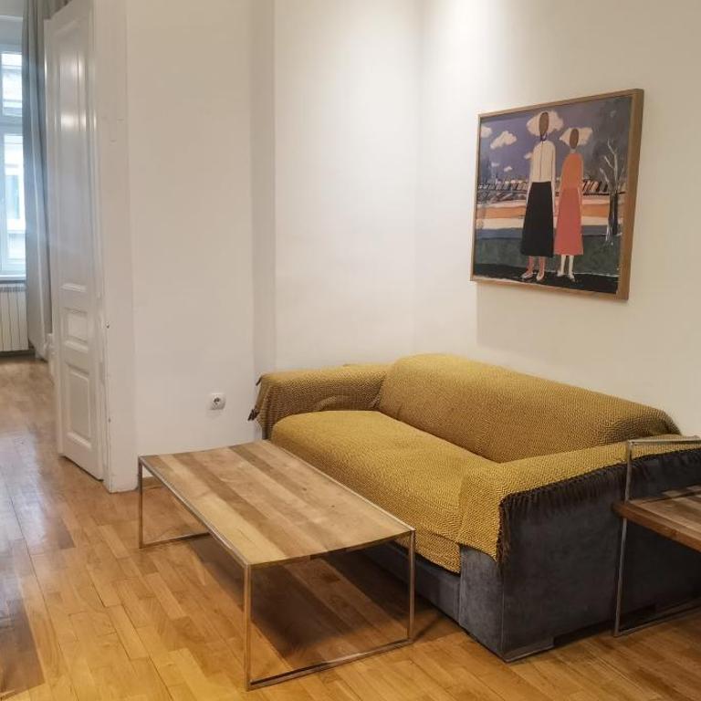 Central Apartment Toplica - One-Bedroom Apartment - 3