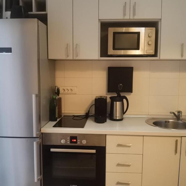 Central Apartment Toplica - One-Bedroom Apartment - 9