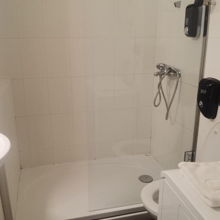 Central Apartment Toplica - One-Bedroom Apartment - 11