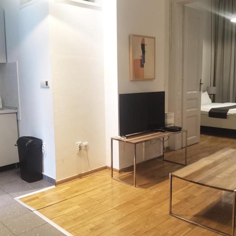 Central Apartment Toplica - One-Bedroom Apartment - 5
