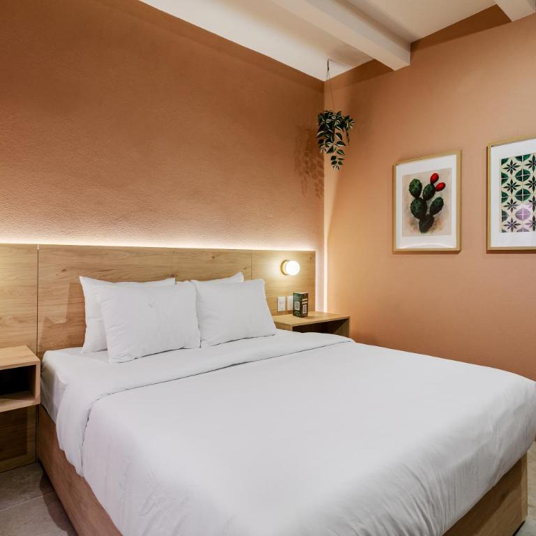 Damián Carmona By Homi Rent - One-Bedroom Apartment - 1
