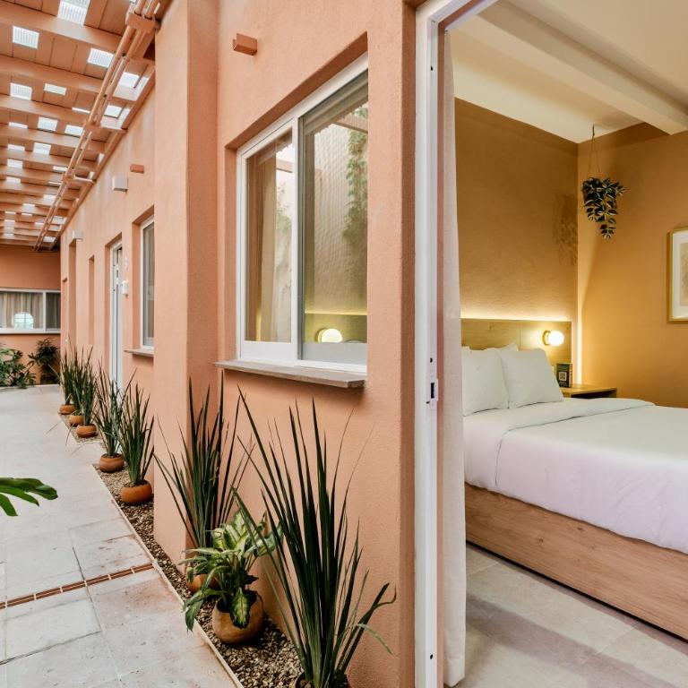 Damián Carmona By Homi Rent - One-Bedroom Apartment - 7