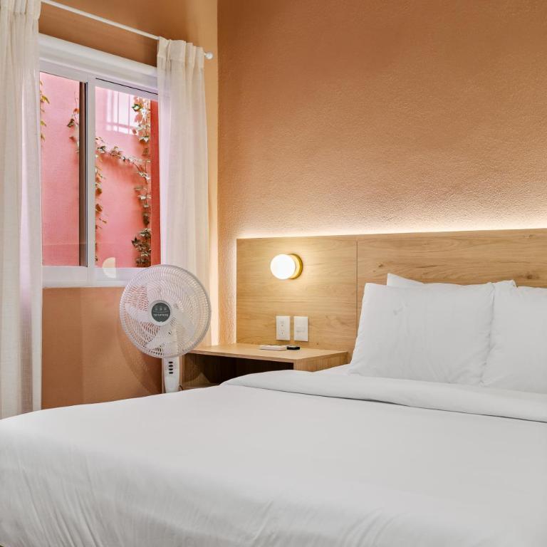 Damián Carmona By Homi Rent - One-Bedroom Apartment - 3