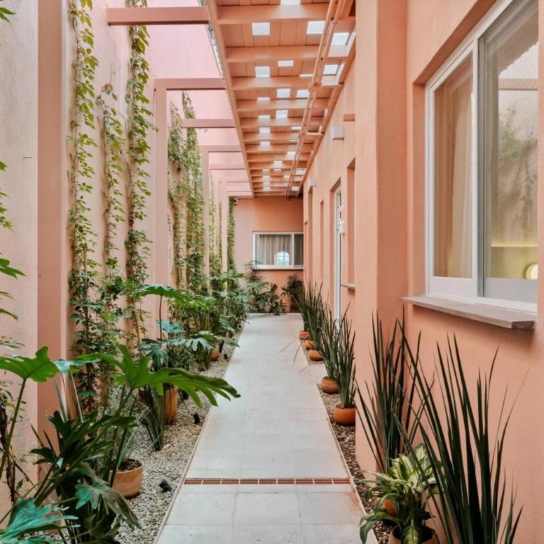 Damián Carmona By Homi Rent - One-Bedroom Apartment - 15