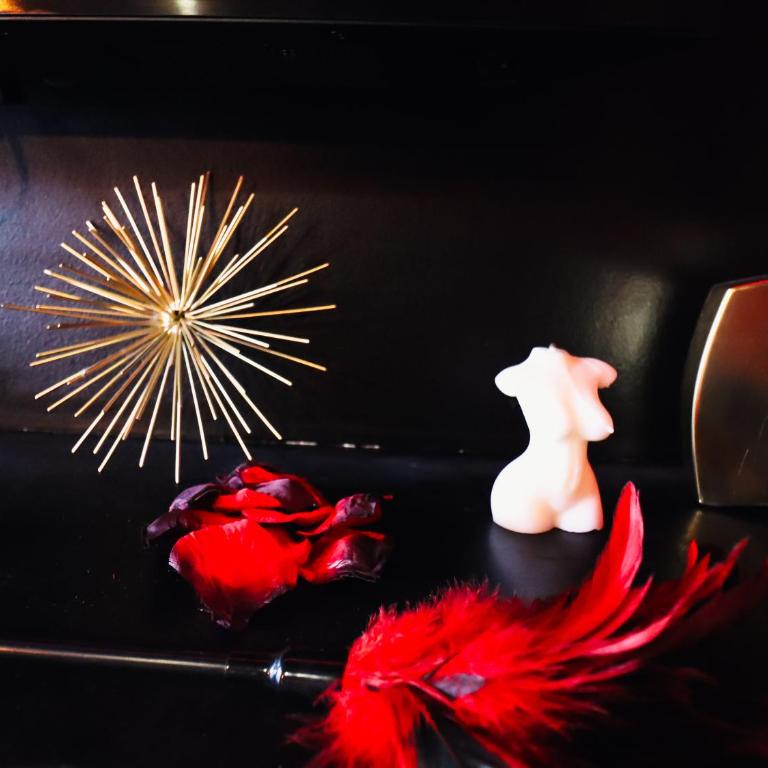 Secrets d'Aix Suite Jacuzzi & Vue Casino - Appartamento con 1 Camera da Letto - 6